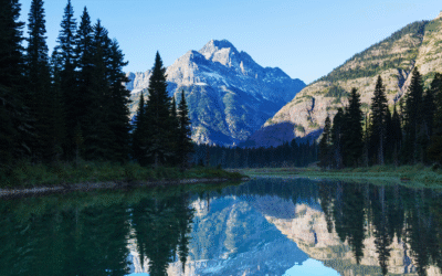 The Ultimate Resilient Asset: Why Absolute Water Autonomy is the New Baseline for the Modern Estate