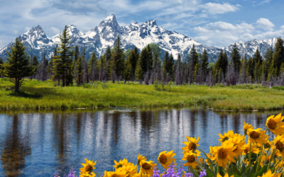 The Invisible Water Trust: Securing Springs and Creeks Nobody Knows Exist