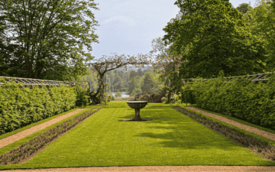 The Overlooked Vulnerability: What Happens When Your Rural Platform Outlives Your Current Advisors?