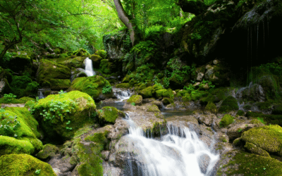 The Estate Is Ready. The Family Isn’t: Closing the Activation Gap in Autonomous Rural Platforms