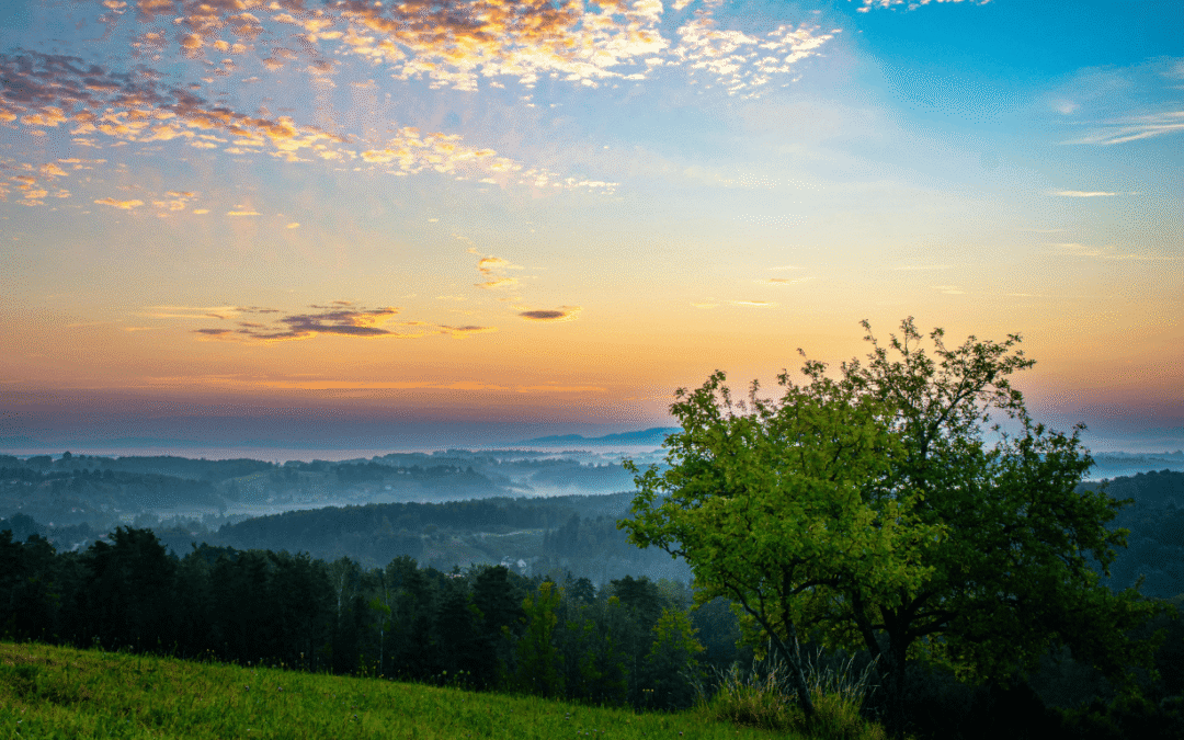 The Location Paradox: How the search for the perfect rural estate can quietly strain the family it was built for