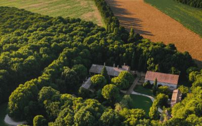 The Hidden Trap in Legacy Planning: When Master Plans Never Become Reality