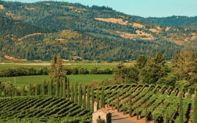 Strategic Thinking as the Safeguard of Wellbeing and Liberty: Lessons on conscience, autonomy, and place