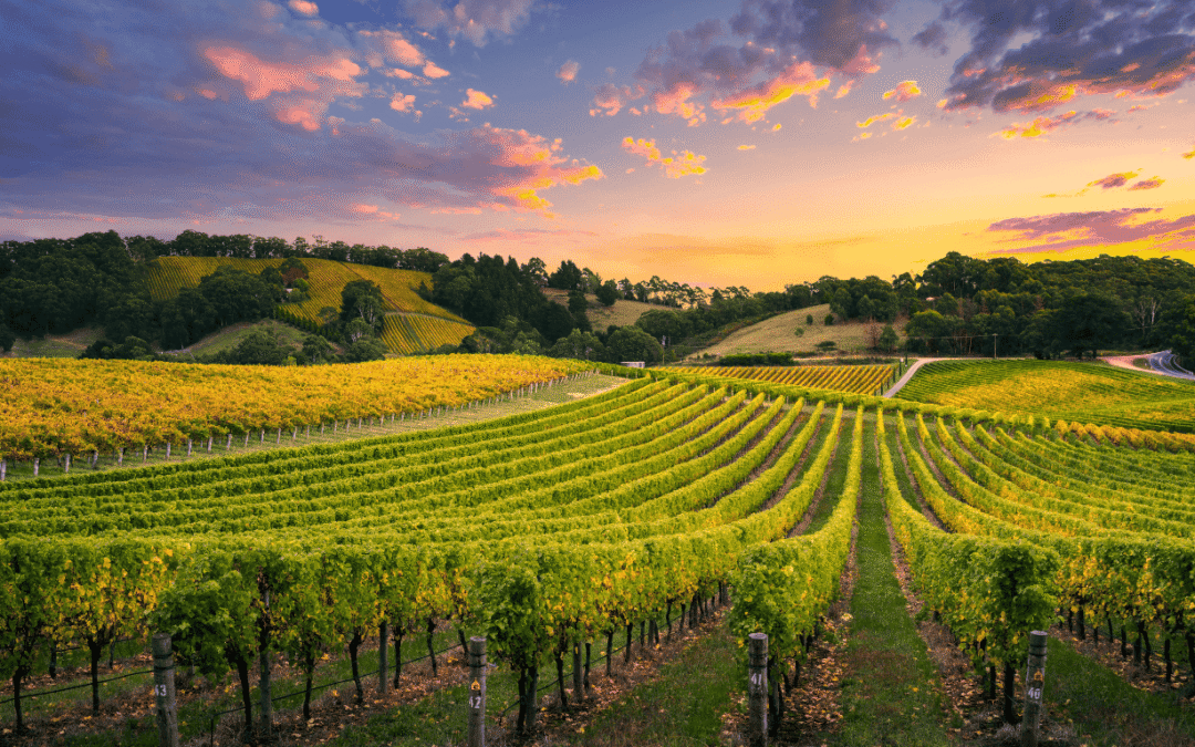 When Planning for the Future Means Building Something That Actually Works