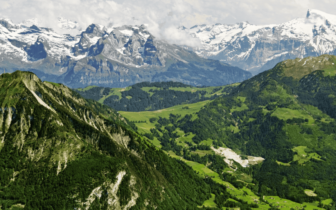 Securing the Gold-Standard Locations for Sovereign Family Estates in an Uncertain Era