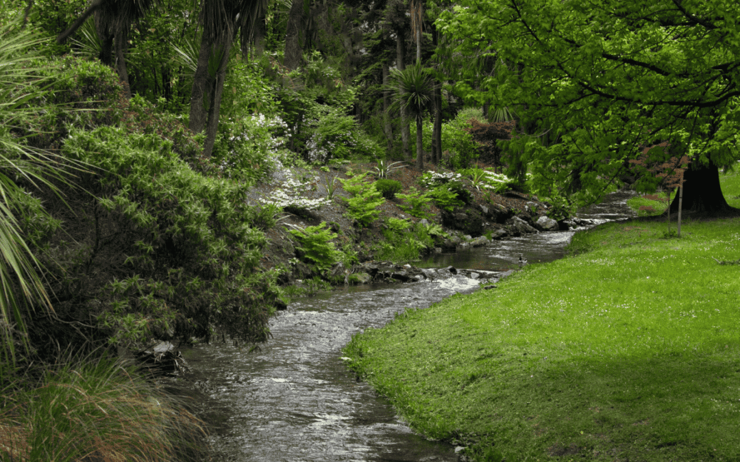 Integrating Water and Agricultural Potential in Site Selection