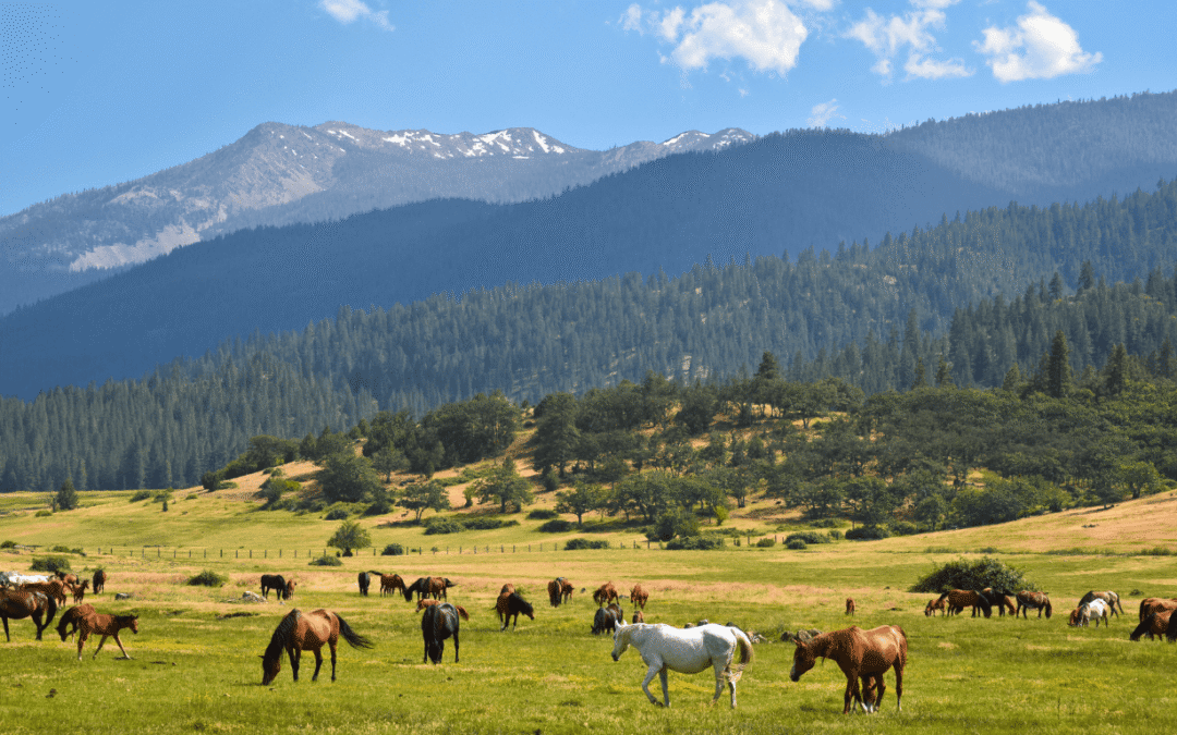 The Coming Tsunami: Digital Surveillance, Economic Upheaval, and Societal Fracture