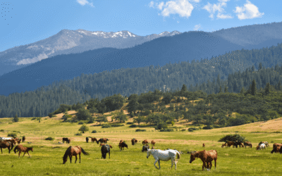 The Coming Tsunami: Digital Surveillance, Economic Upheaval, and Societal Fracture