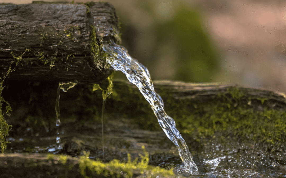 Achieving Water Sovereignty: Essential Sources and Systems for Your Autonomous Rural Estate