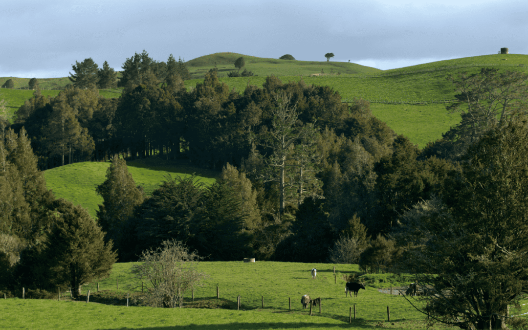 The Food System Is Tightening: Why Families Must Secure Food Independence Now