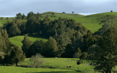 The Food System Is Tightening: Why Families Must Secure Food Independence Now