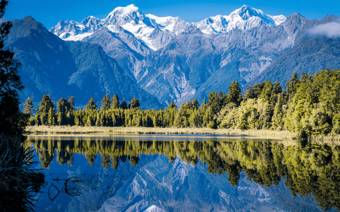 Site-Specific Intelligence: A Gold Standard Guide for High-Net-Worth Families Evaluating Relocation Options