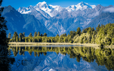 Site-Specific Intelligence: A Gold Standard Guide for High-Net-Worth Families Evaluating Relocation Options