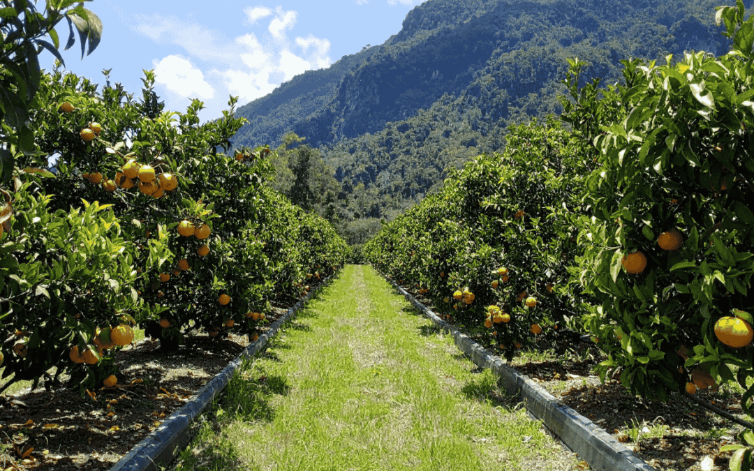 Climate Adaptation Strategies for Long-Term Rural Autonomy