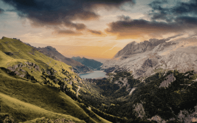 Economic and Political Stability Factors in Rural Platform Planning