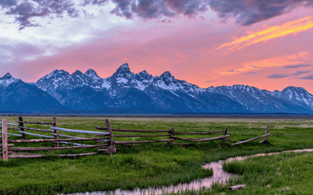 Evaluating Natural & Engineered Disaster Resilience for Autonomous Rural Platforms