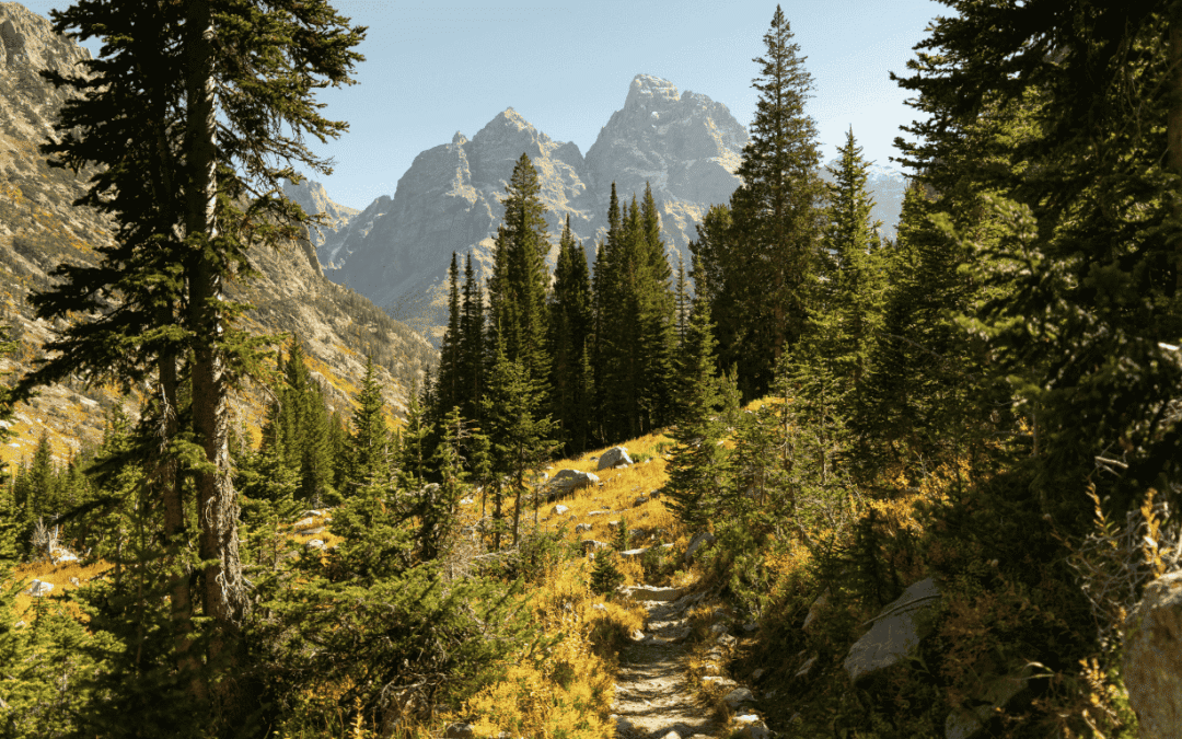 Strategic Relocation Site Assessment in an Era of Escalating Geopolitical Tensions